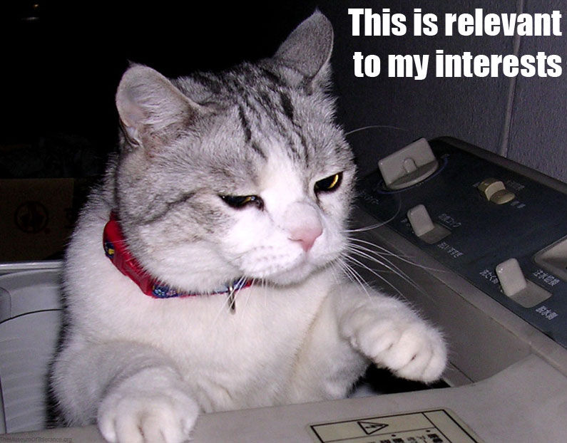 Image of a cat with the text 'This is relevant to my interests'